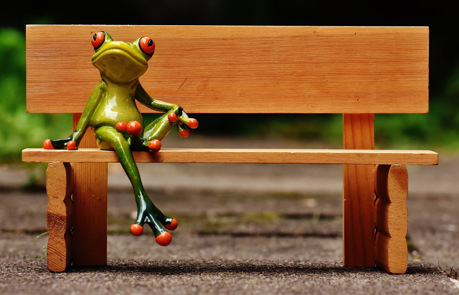 Nikon D7200 sample photo. Frog, sit, bank photography