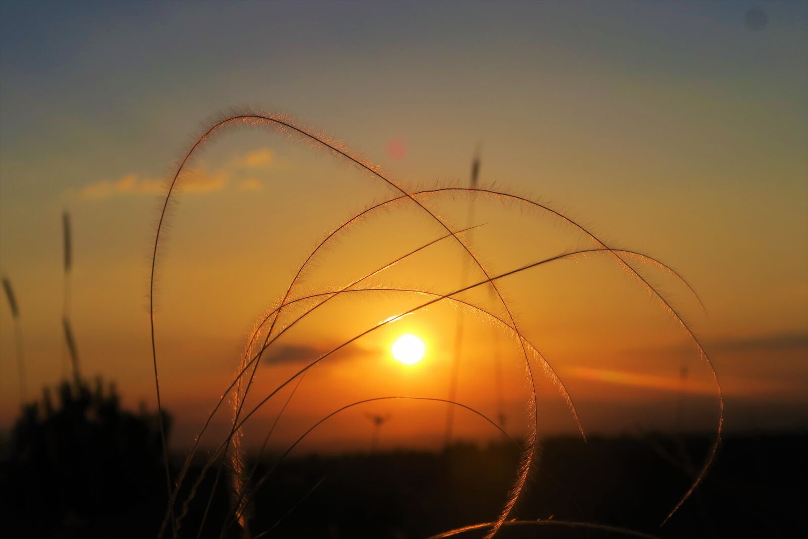 Canon PowerShot G7 X sample photo. In the evening, dawn photography