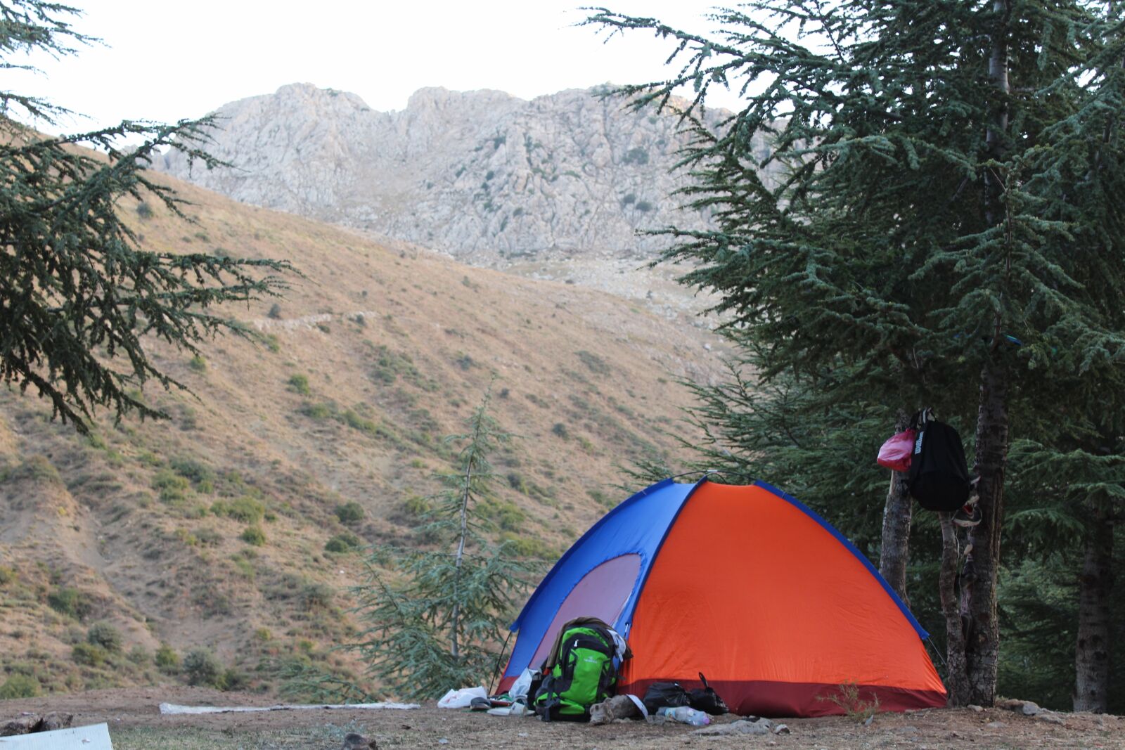 Canon EOS 1300D (EOS Rebel T6 / EOS Kiss X80) sample photo. Camping, forest, algeria photography