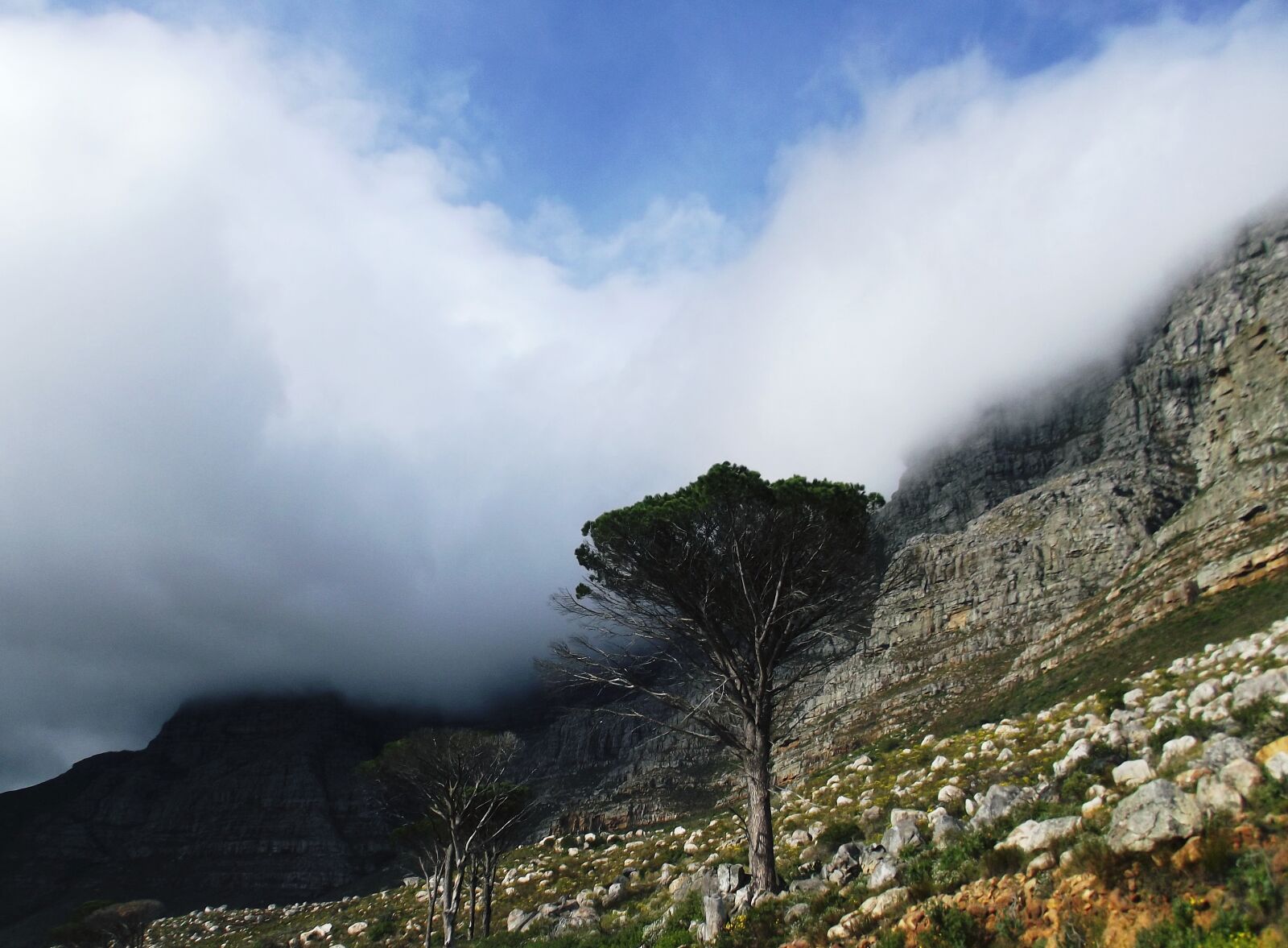 FujiFilm FinePix S2950 (FinePix S2990) sample photo. Table mountain, cape town photography