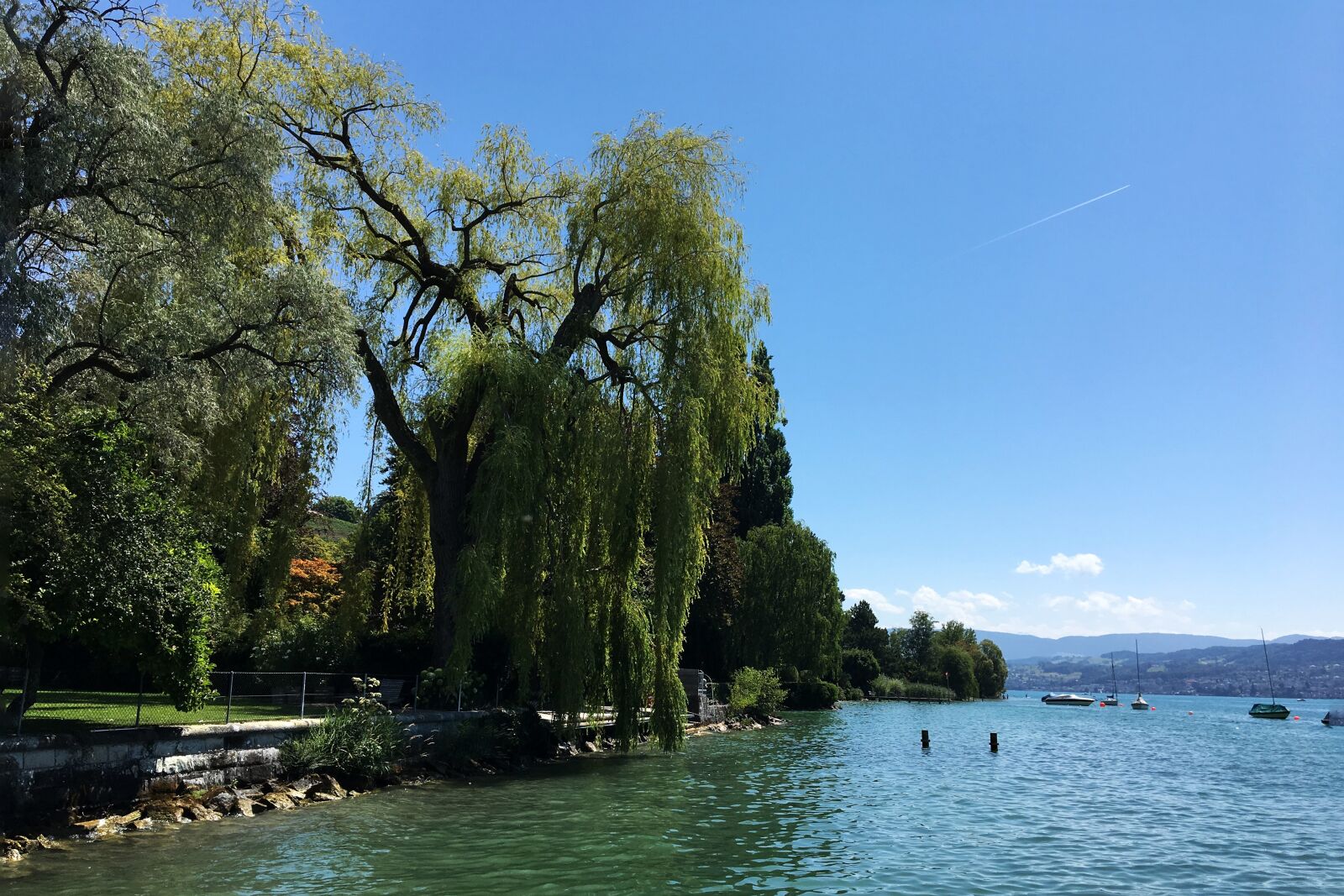 Apple iPhone 6s sample photo. Lake zurich, bank, tree photography