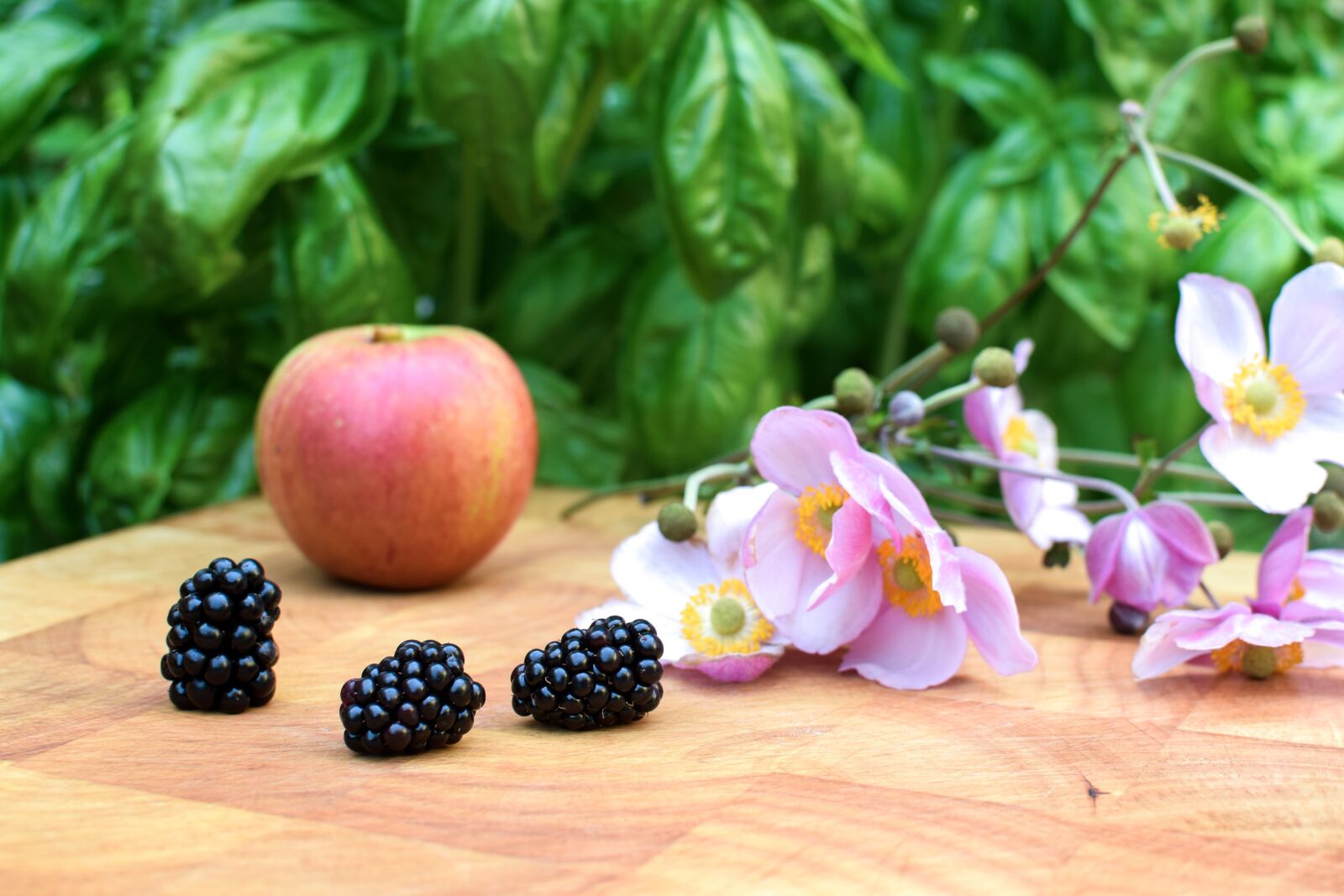 Nikon D3300 sample photo. Blackberry, autumn, black berries photography