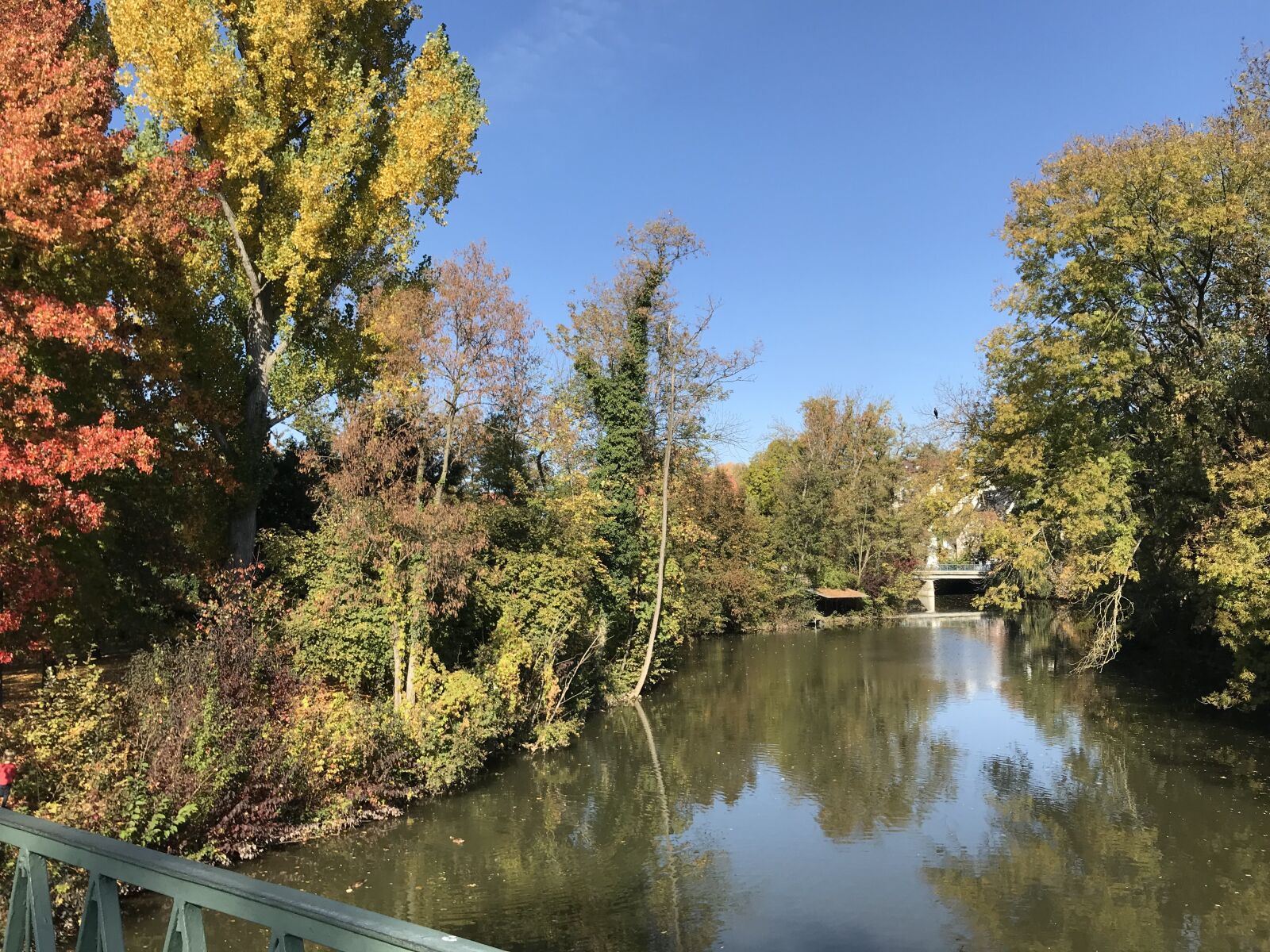 iPhone 7 back camera 3.99mm f/1.8 sample photo. Autumn, river, nature photography