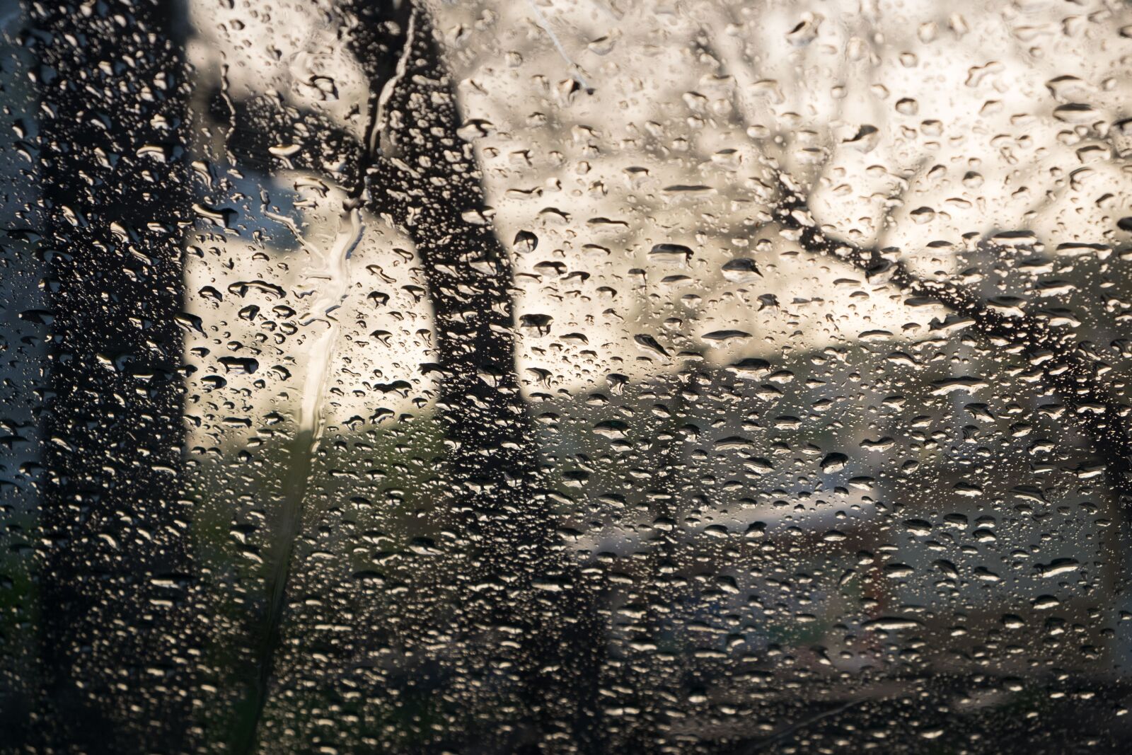 Fujifilm X-E2 sample photo. Glass, rain, drops photography