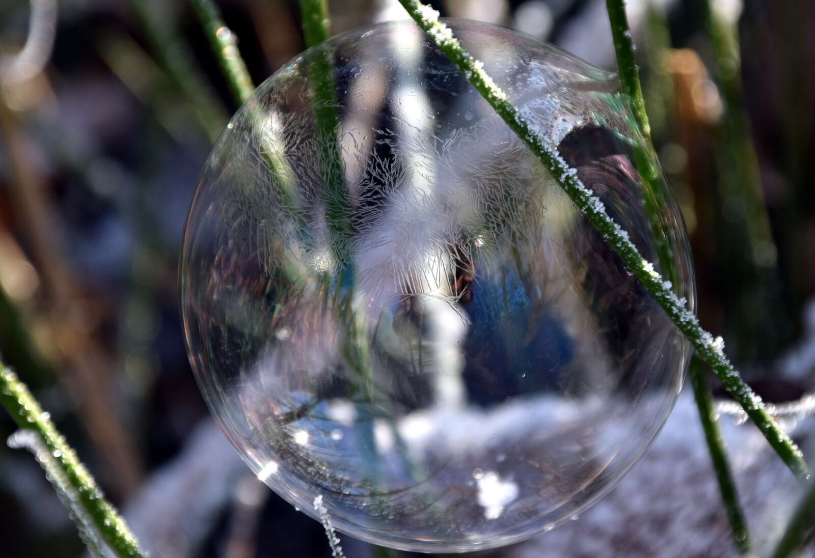 Nikon D3300 sample photo. Bubble, soap bubble, ball photography