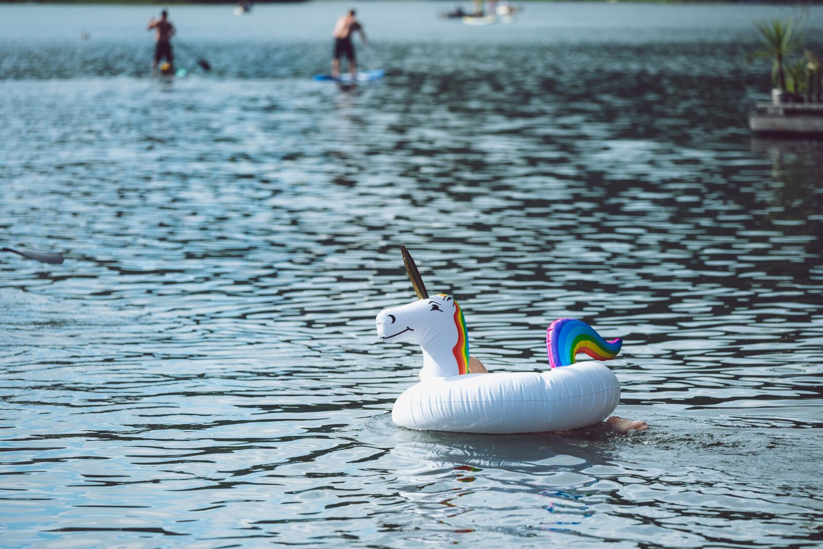 Nikon D750 sample photo. Unicorn, lake, river photography