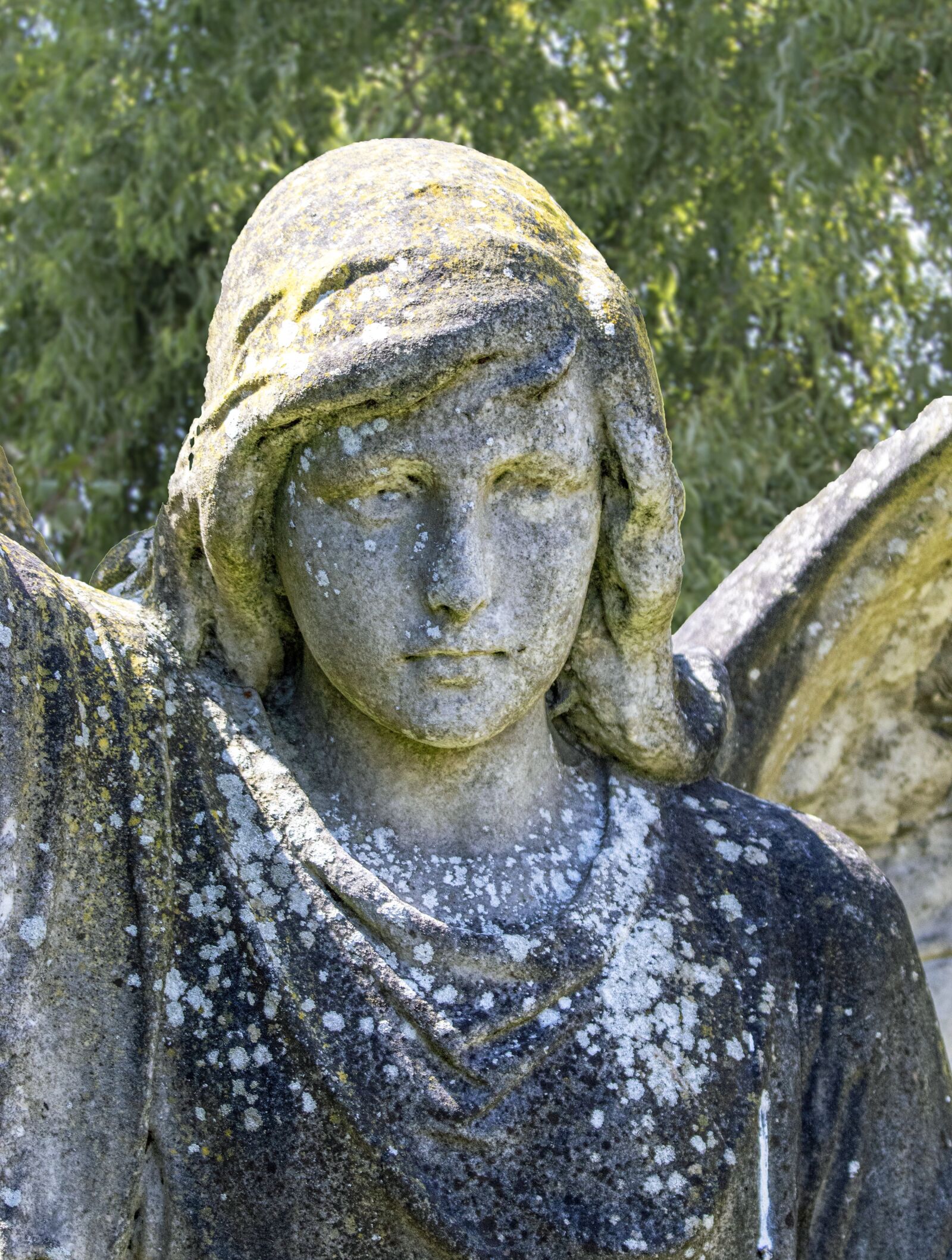 Sigma 100-400mm F5-6.3 DG OS HSM sample photo. Angel, statue, memorial photography