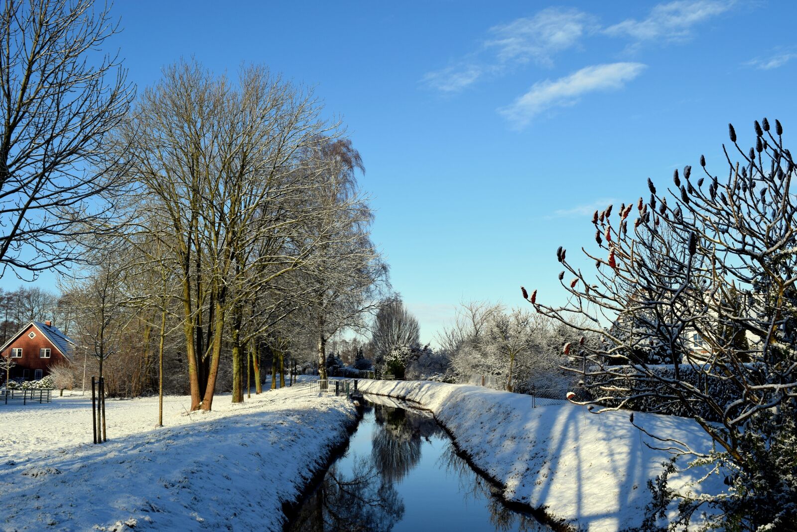 Nikon D3300 sample photo. Winter, bach, tree photography