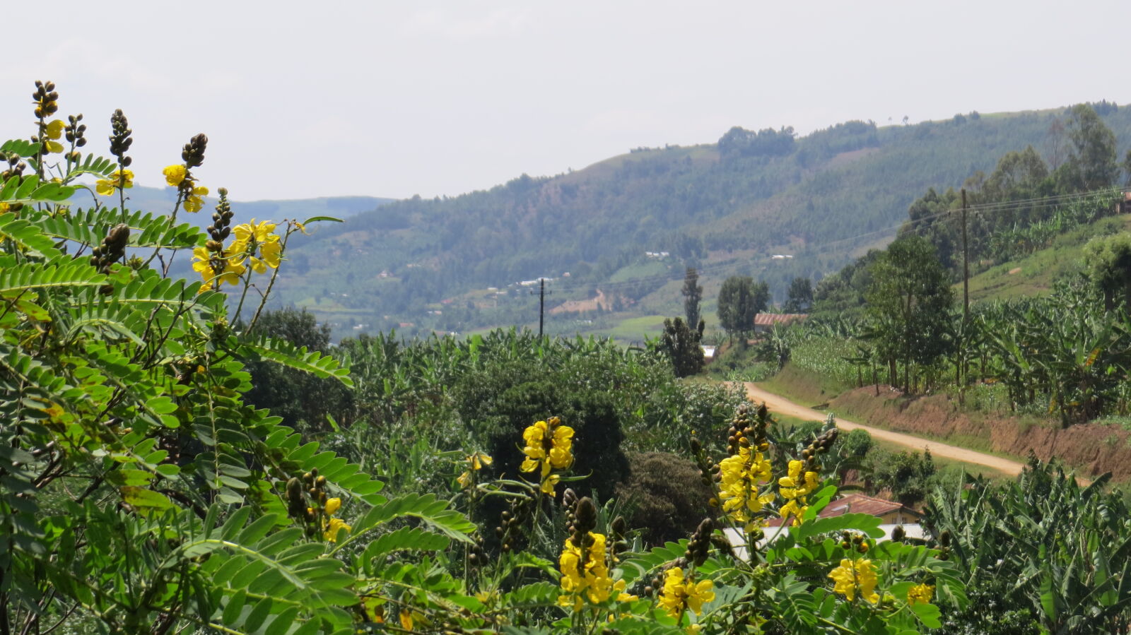 Canon PowerShot SX50 HS sample photo. Africa, uganda photography