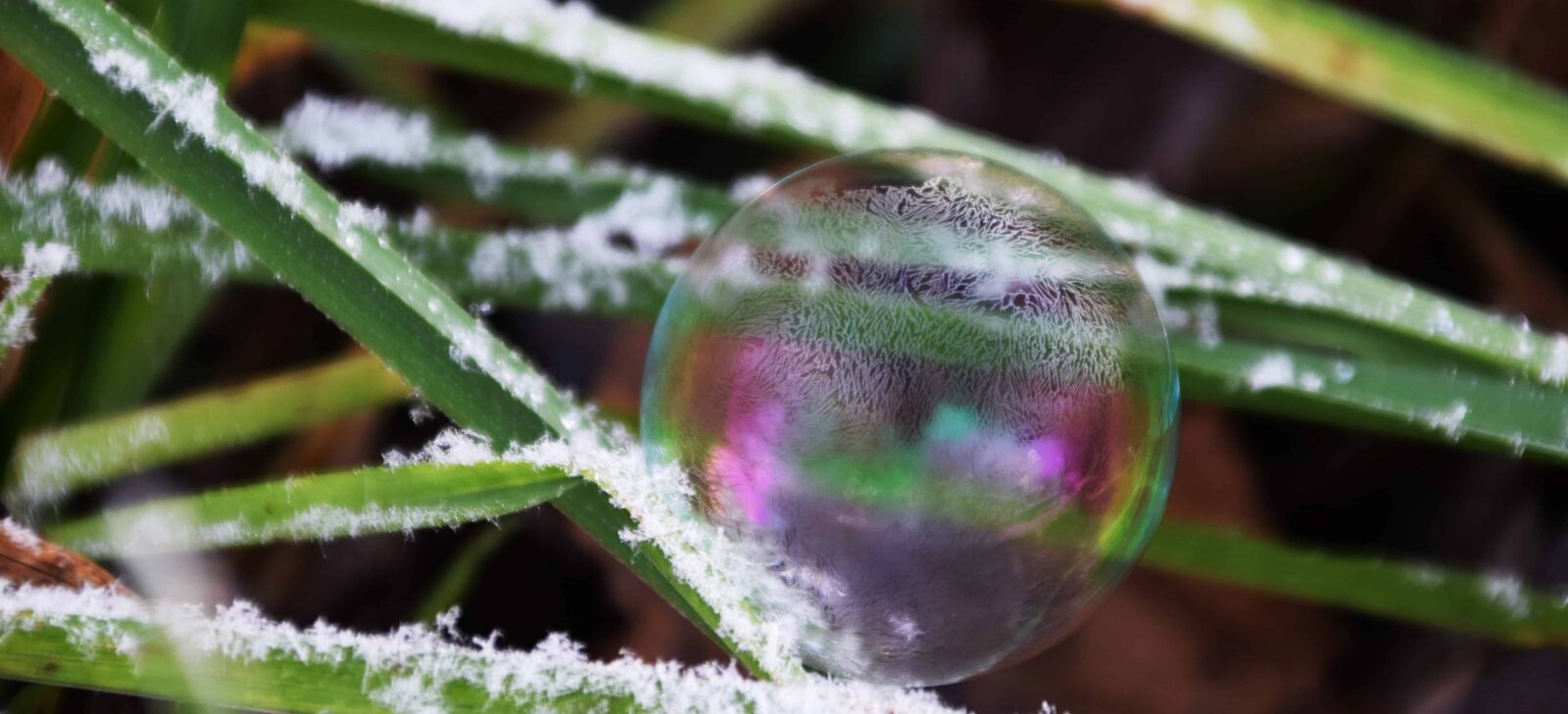 Nikon D3300 sample photo. Sphere, frost, macro, snowflake photography