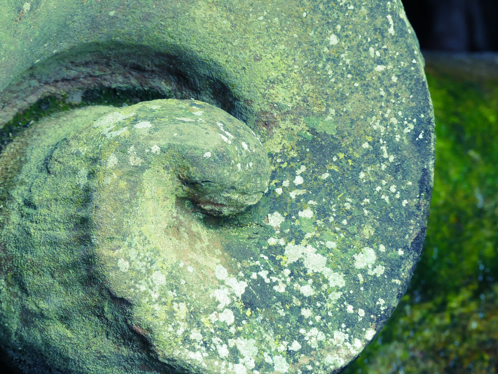Panasonic Lumix DMC-FZ300 sample photo. Closed garden schwetzingen, snail photography