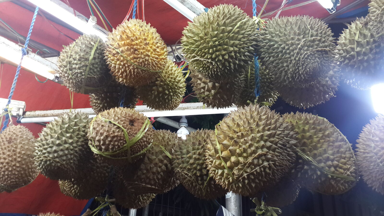 Samsung Galaxy S4 sample photo. Indonesia, tropical, fruit photography