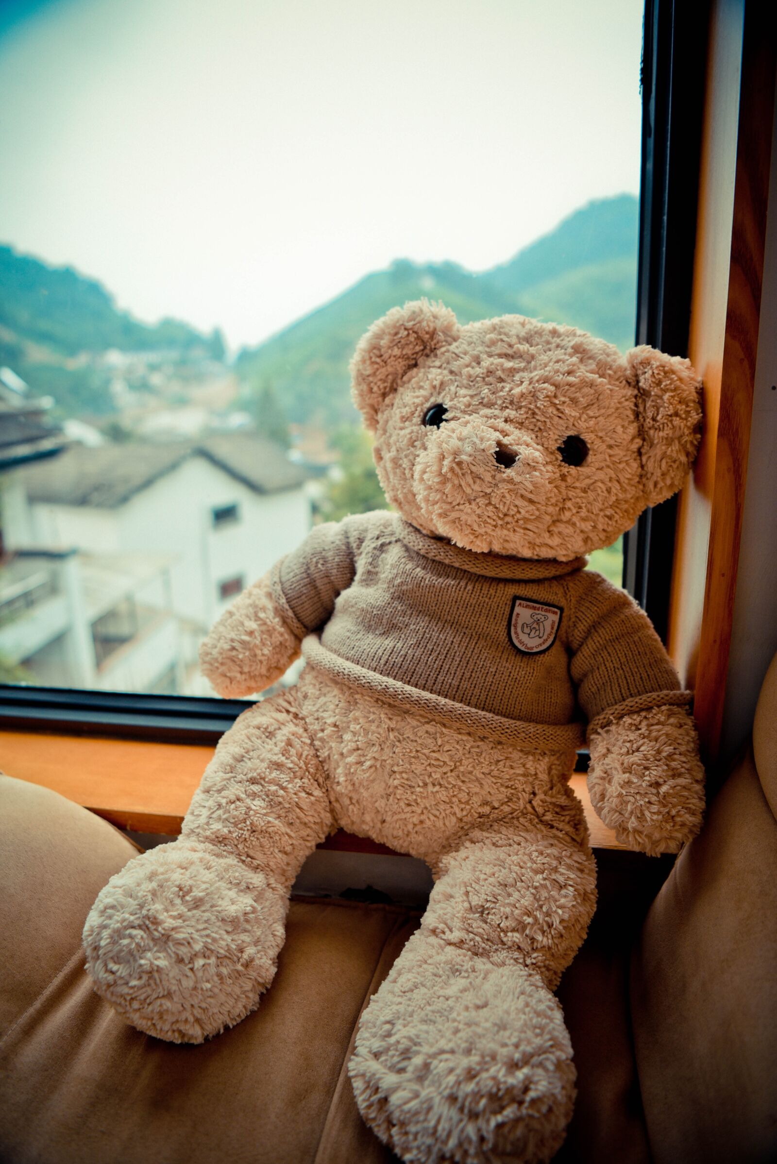 Nikon D750 sample photo. The bear, bed and photography