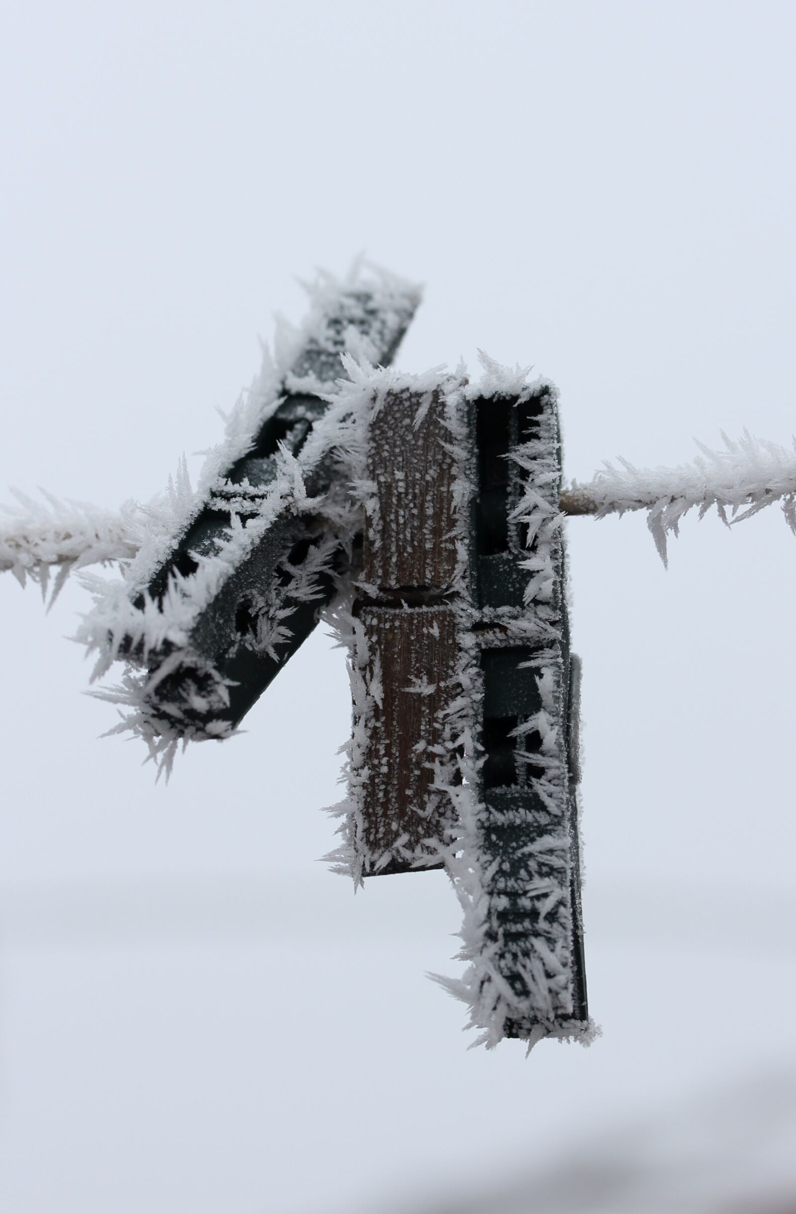 Canon EF-S 60mm F2.8 Macro USM sample photo. Hook, frozen, rime photography