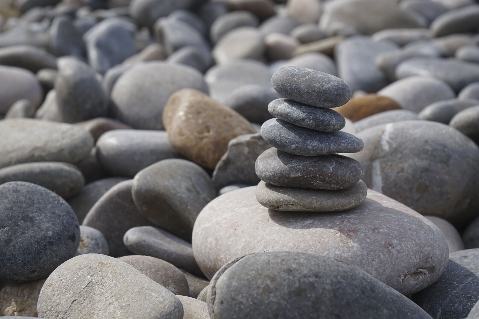 Sony Alpha a5000 (ILCE 5000) sample photo. Pebble, stones, round photography