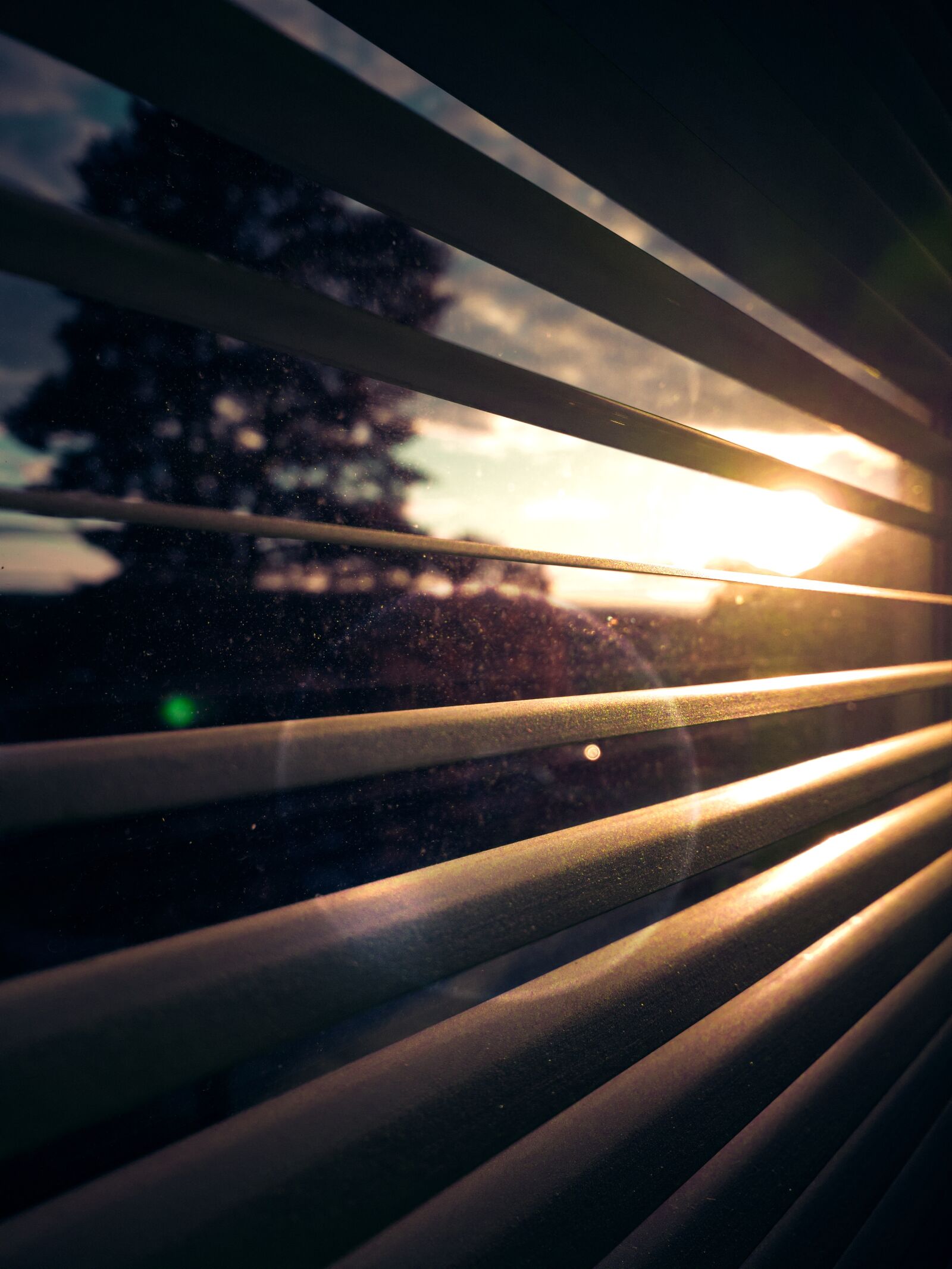 Apple iPhone XR sample photo. Solar, sunset, grass photography