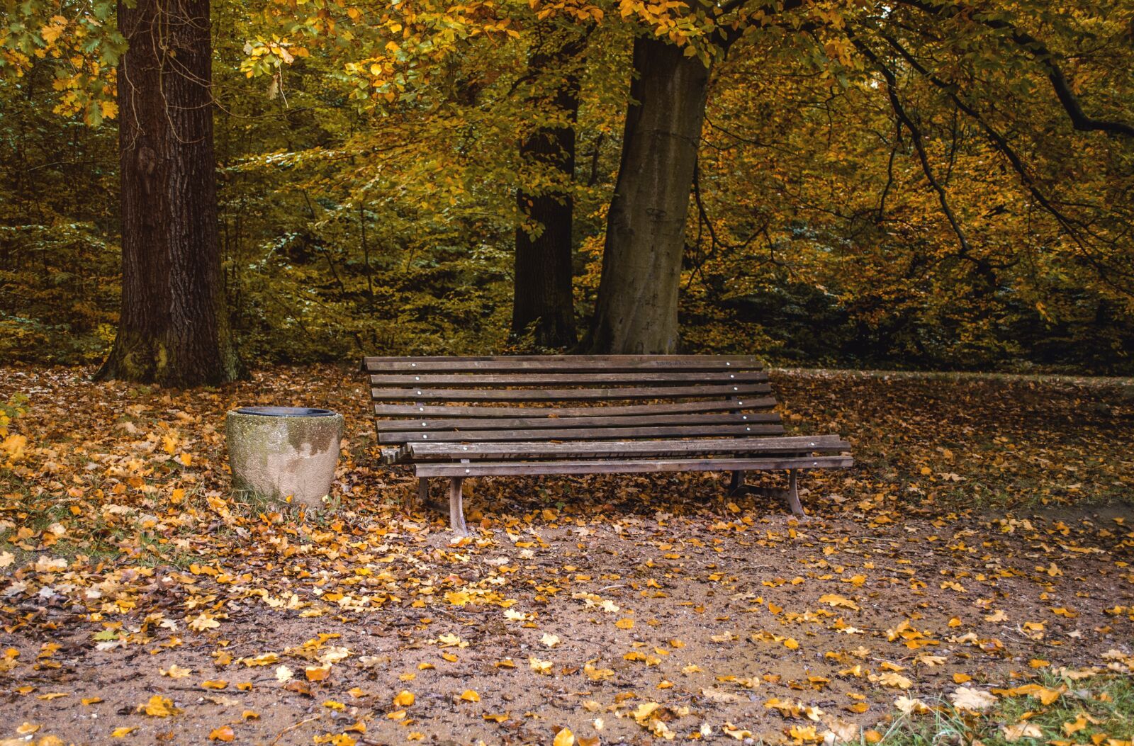 Nikon D5100 sample photo. Park bench, rest, park photography