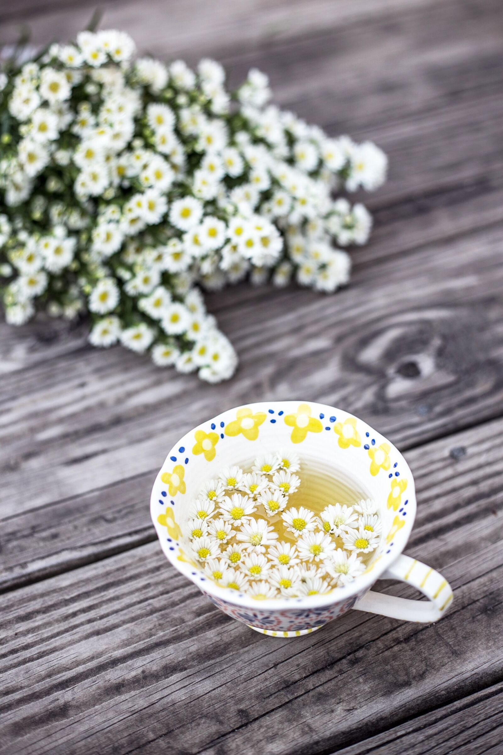 Canon EF 50mm F1.8 II sample photo. Bloom, blossom, chamomile photography