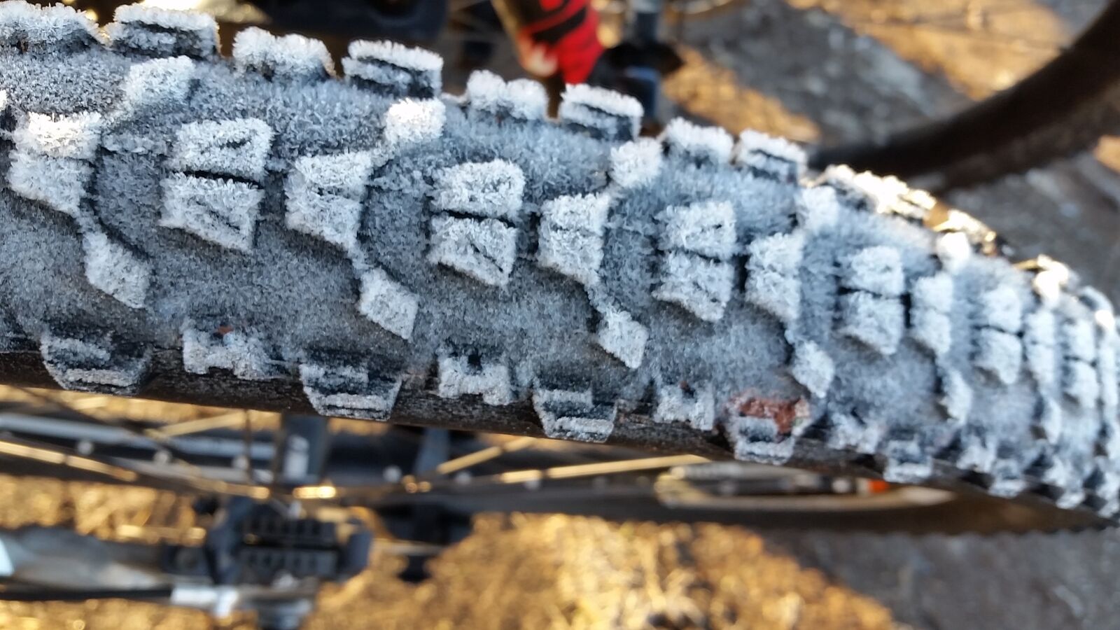 Samsung Galaxy S5 sample photo. Bike, tire, frost photography