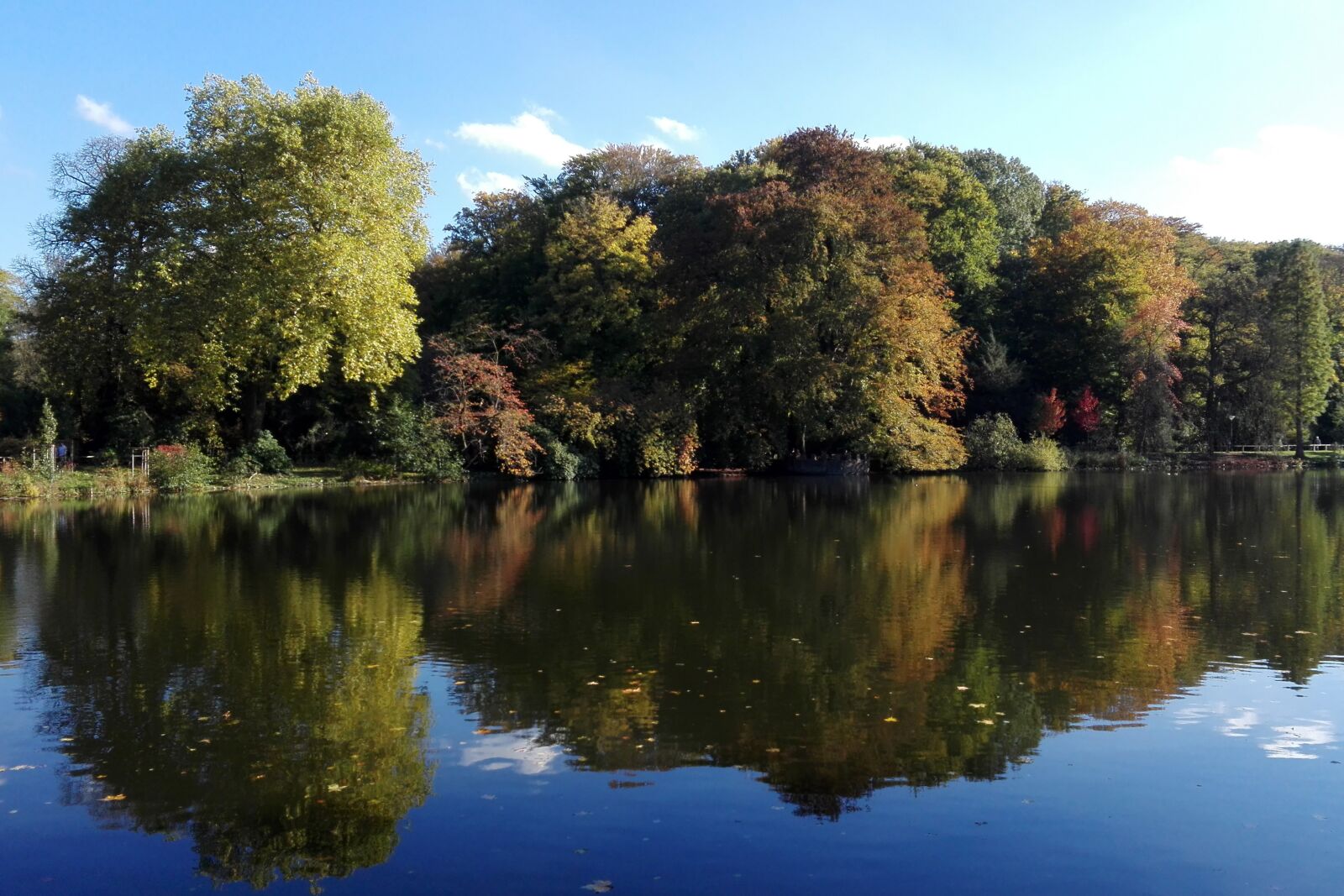 HUAWEI P8 Lite sample photo. Waters, nature, tree photography