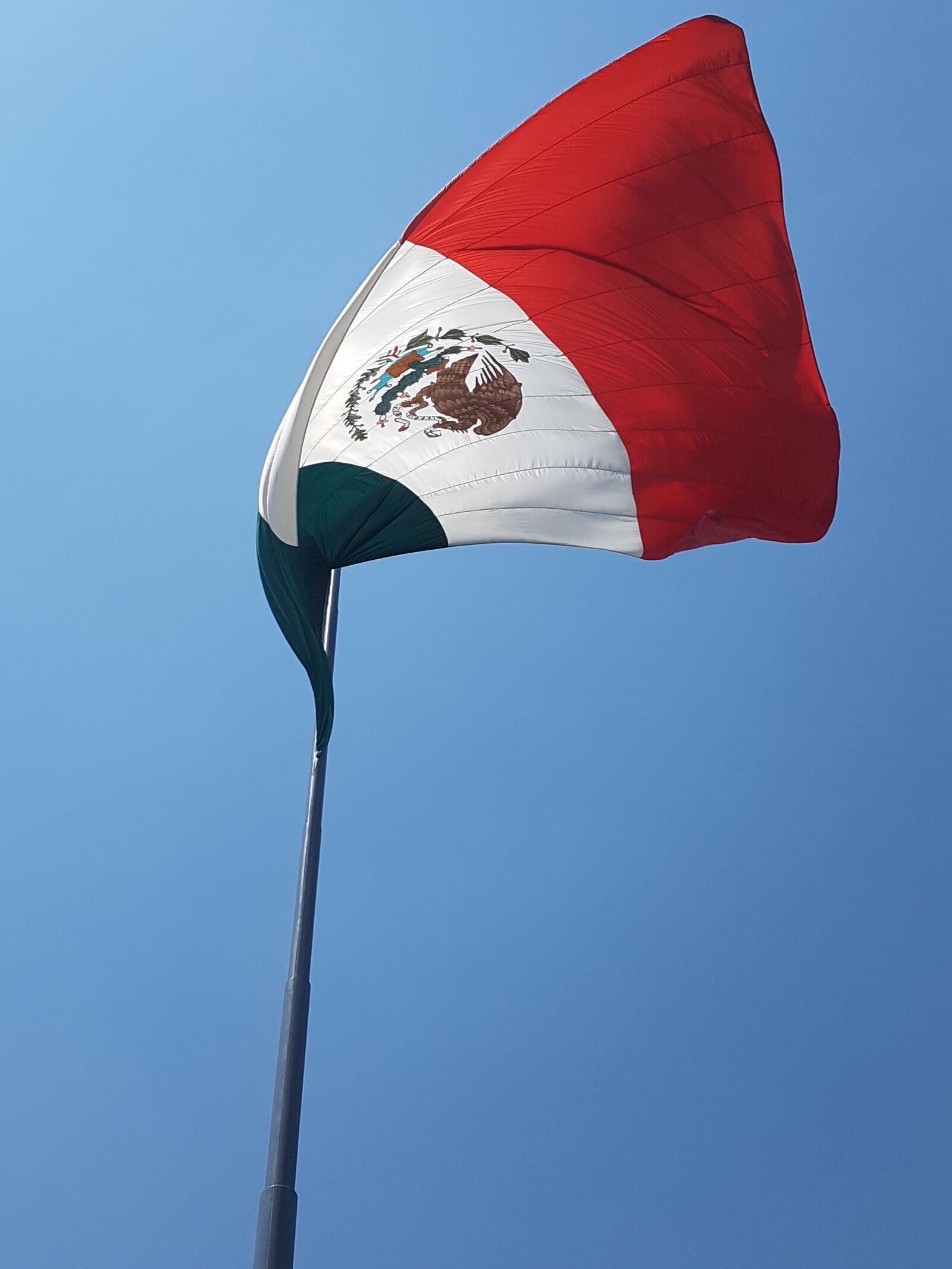 Samsung Galaxy S7 sample photo. Mexico, flag, mexican flag photography