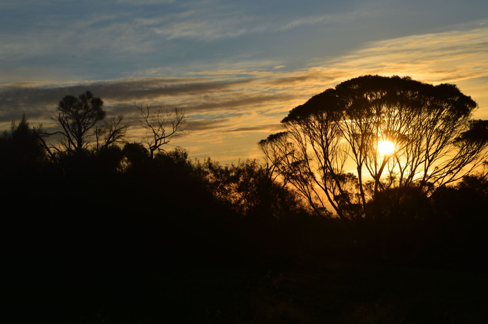Nikon D3200 sample photo