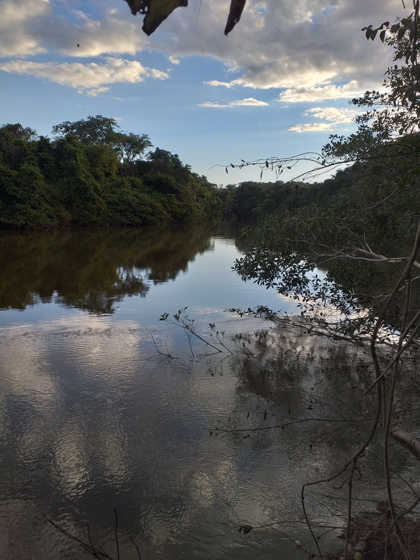 Samsung Galaxy J6+ sample photo. Rio, mato, agua photography