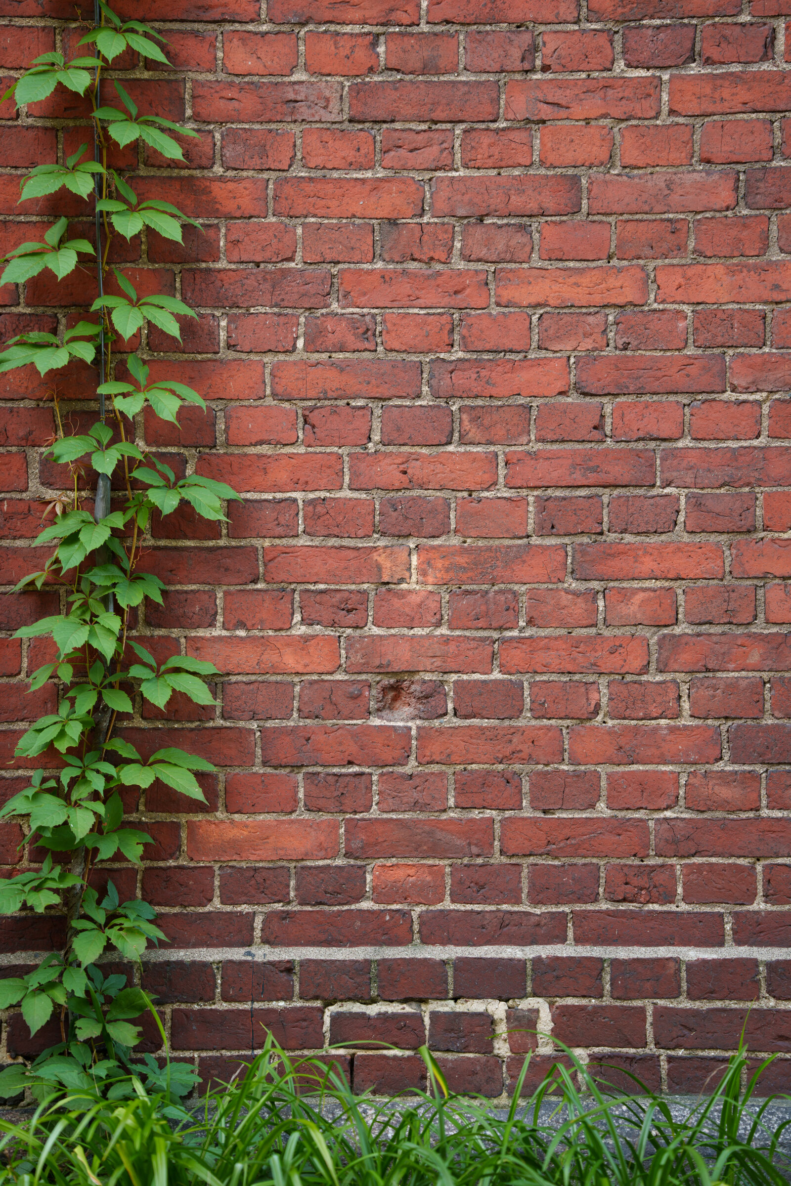 Sony a7R V sample photo. Distortion wall photography