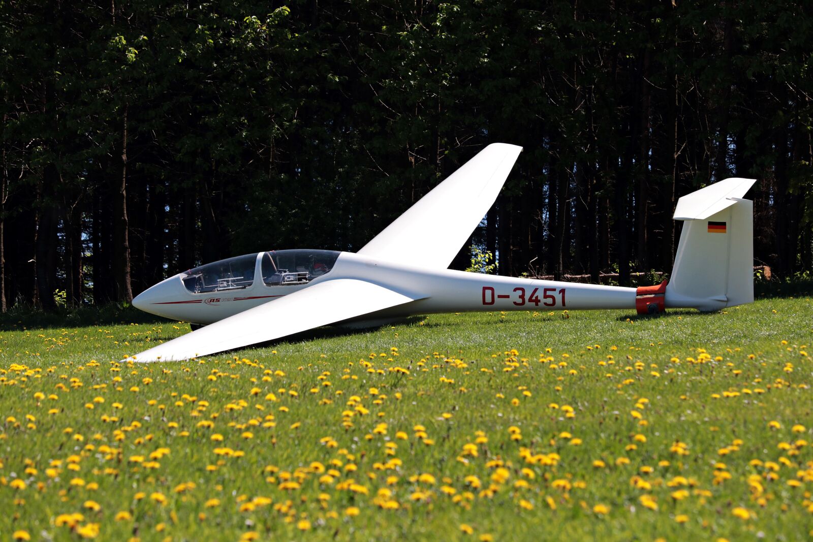Canon EF-S 55-250mm F4-5.6 IS STM sample photo. Glider, meadow, flying photography