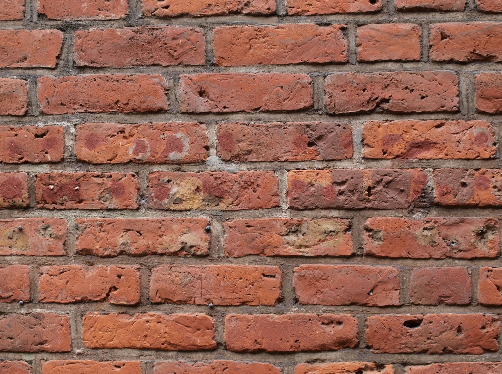 Olympus E-450 (EVOLT E-450) sample photo. Brick wall, red, bricks photography