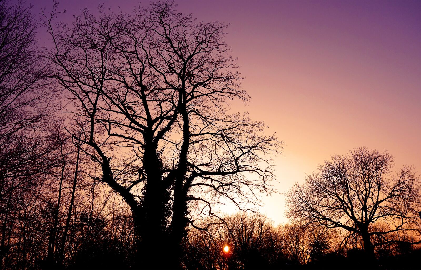 Sony Cyber-shot DSC-RX100 sample photo. Sunset, sunset skies, silhouette photography
