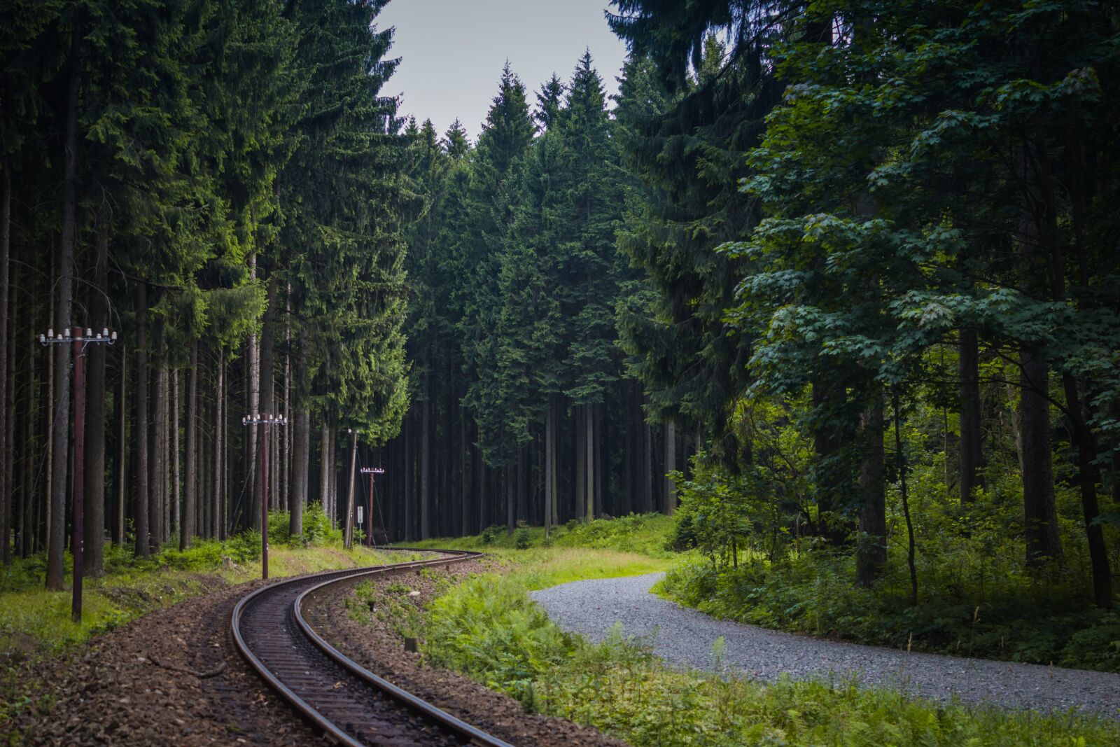 Canon EOS 100D (EOS Rebel SL1 / EOS Kiss X7) sample photo. Track, forest, germany photography