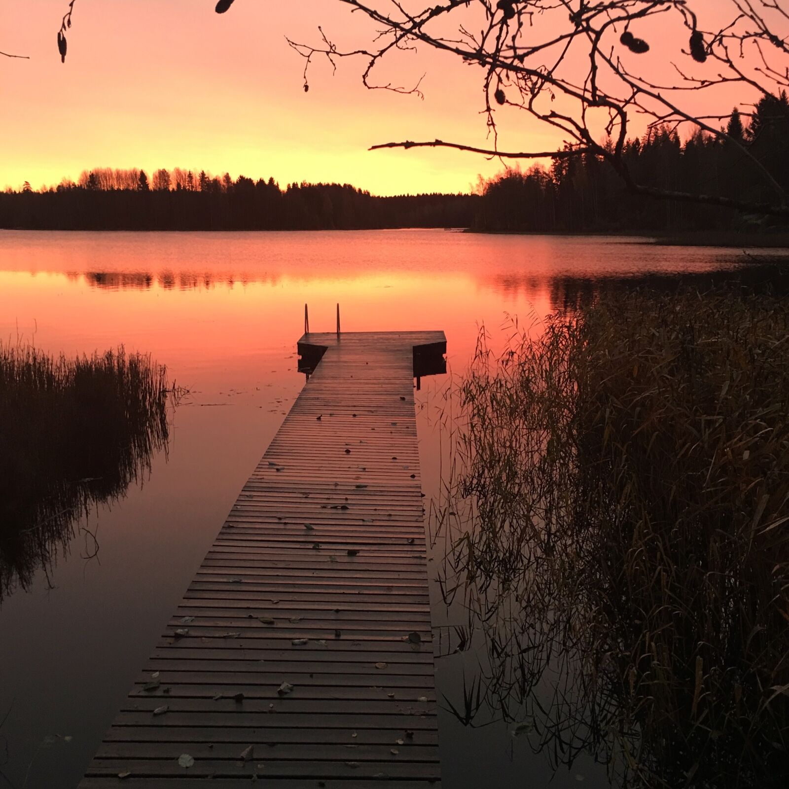 Apple iPhone 6s Plus sample photo. Morning, sunrise, lake photography
