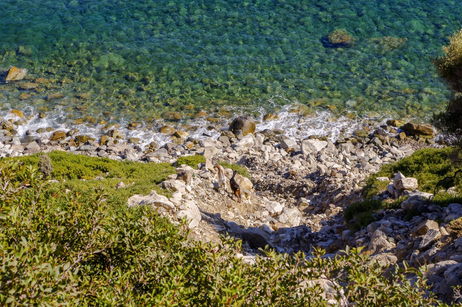 smc PENTAX-DA L 18-55mm F3.5-5.6 sample photo. Nature, water, landscape photography