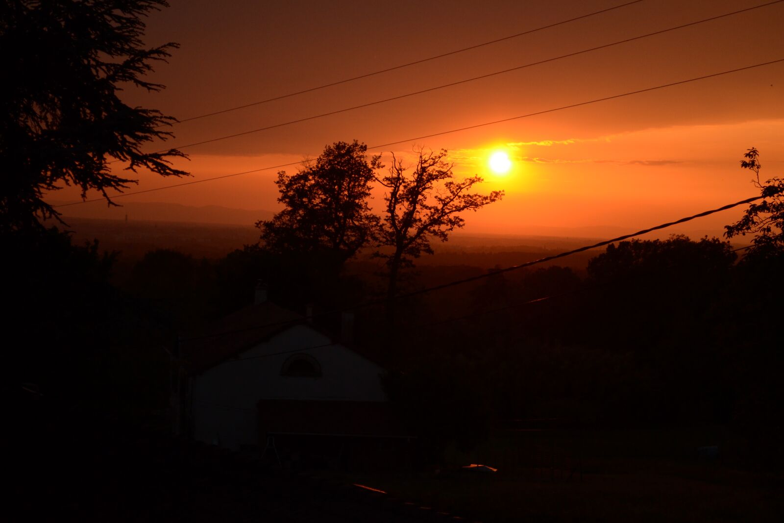 Nikon D3100 sample photo. Sunset, black, orange photography