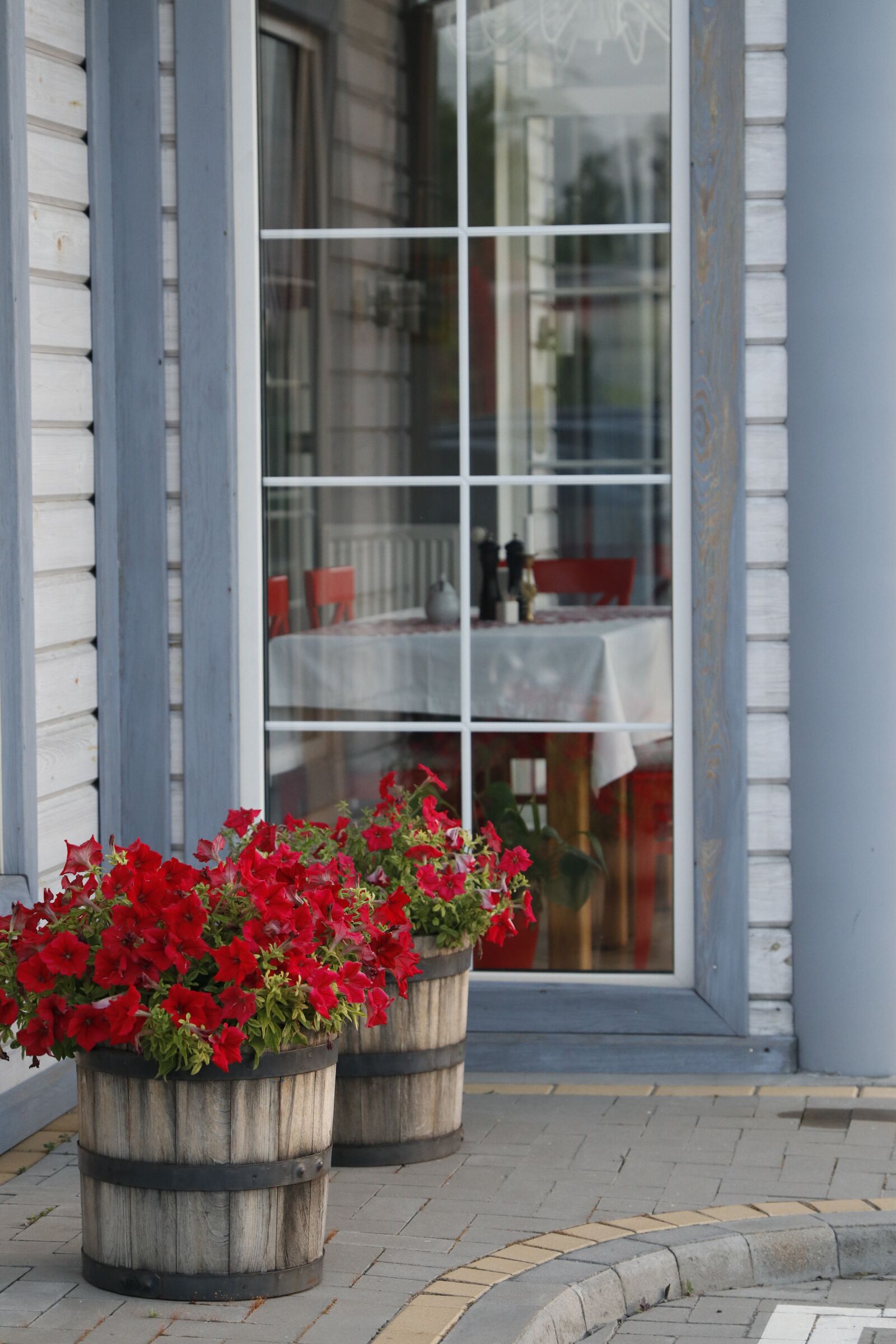 Canon EF 24-70mm F2.8L II USM sample photo. Petunias, flowers, summer photography