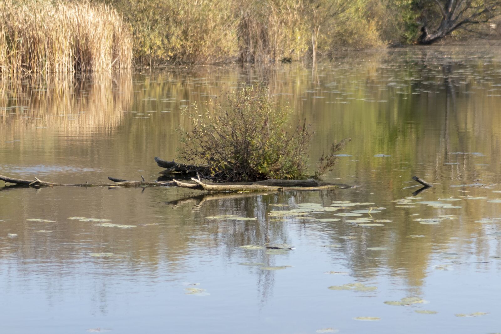 Canon EF75-300mm f/4-5.6 sample photo. Landscape, river, water photography