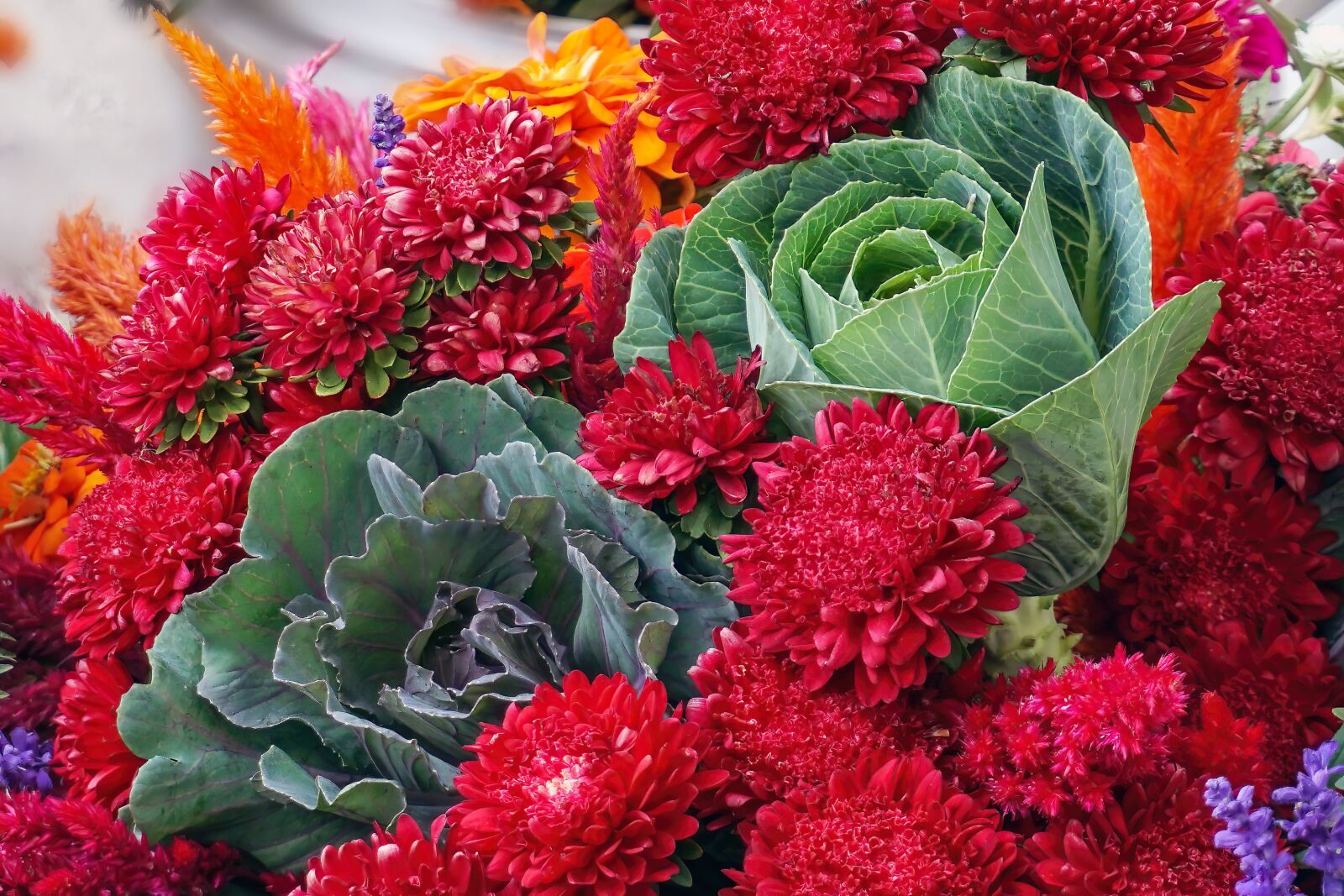 Sony a6300 + Sony E 16-50mm F3.5-5.6 PZ OSS sample photo. Flowers, bouquet, cabbage photography