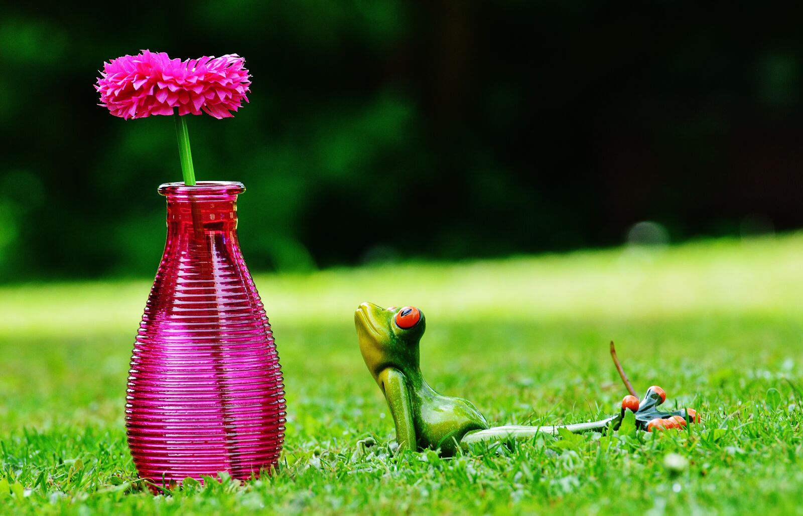 Nikon D3200 sample photo. Vase, flower, frog photography