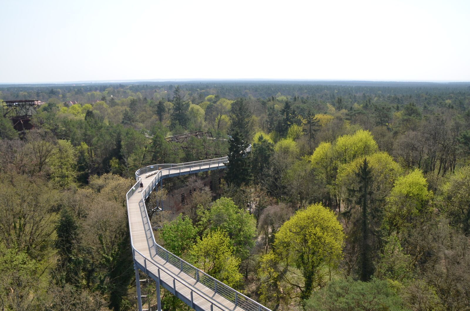 Nikon D5100 sample photo. Treetop path, forest, landscape photography