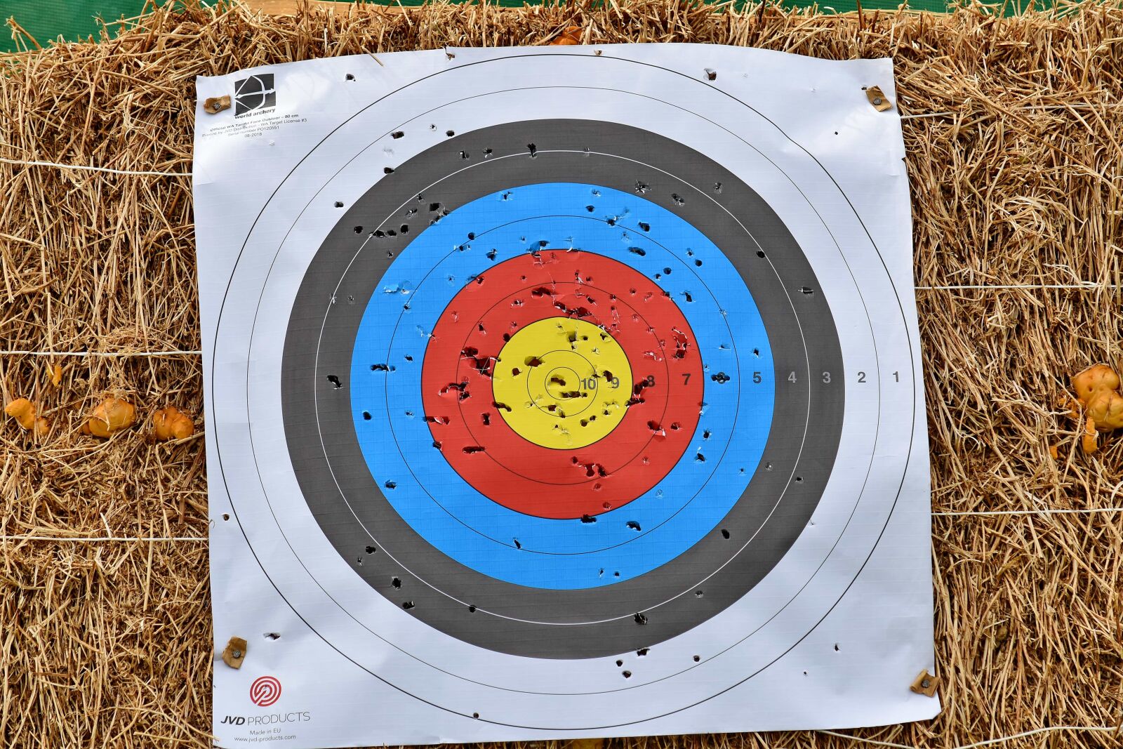 Nikon D5500 sample photo. Achievement, archery, colorful, target photography