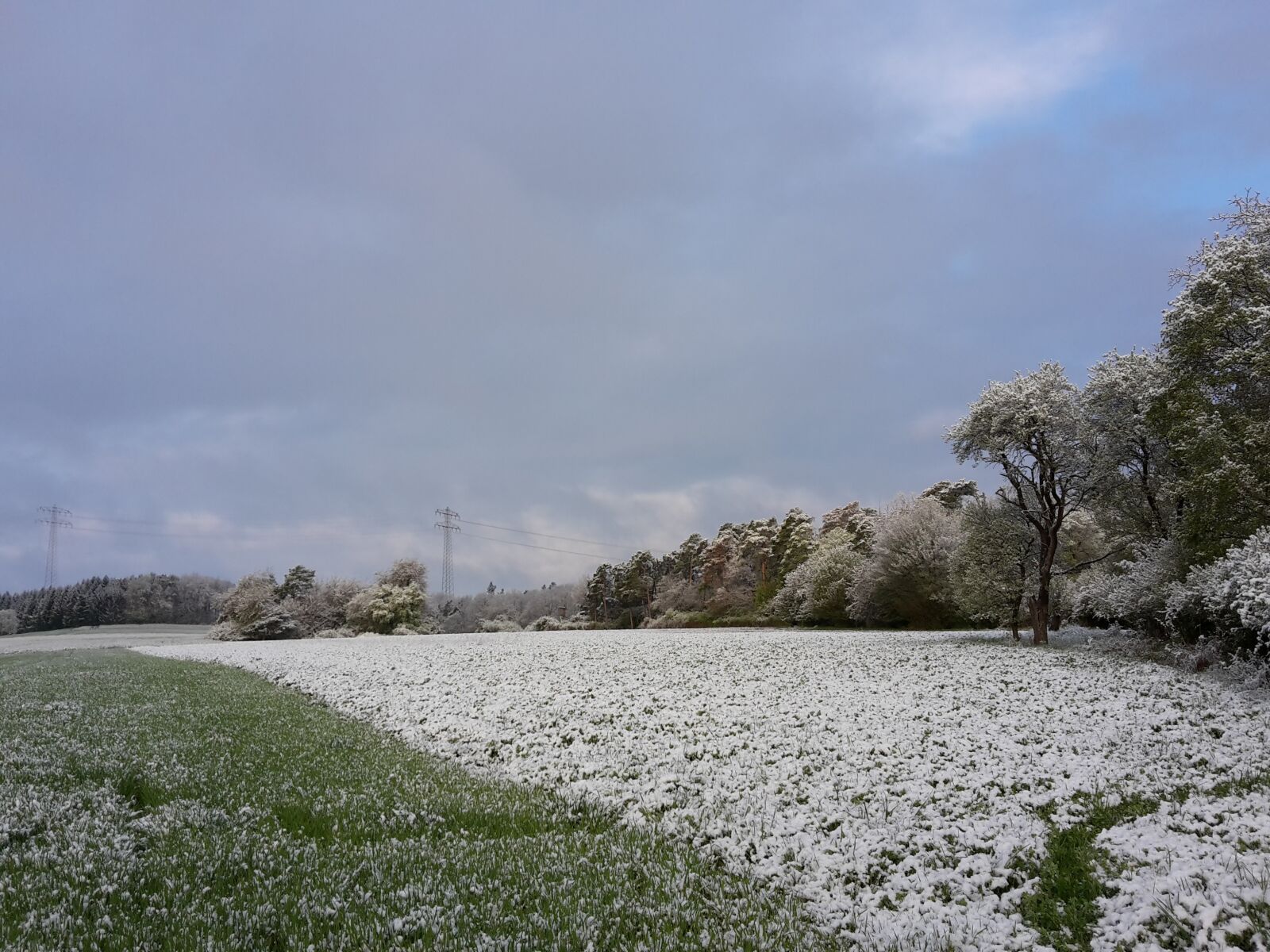 Samsung Galaxy S5 Mini sample photo. April, snow, nature photography