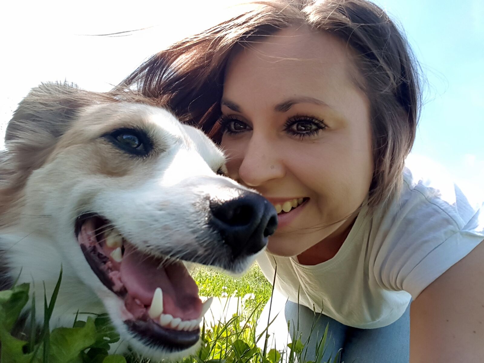 Samsung Galaxy S7 sample photo. Dog, human, friends photography