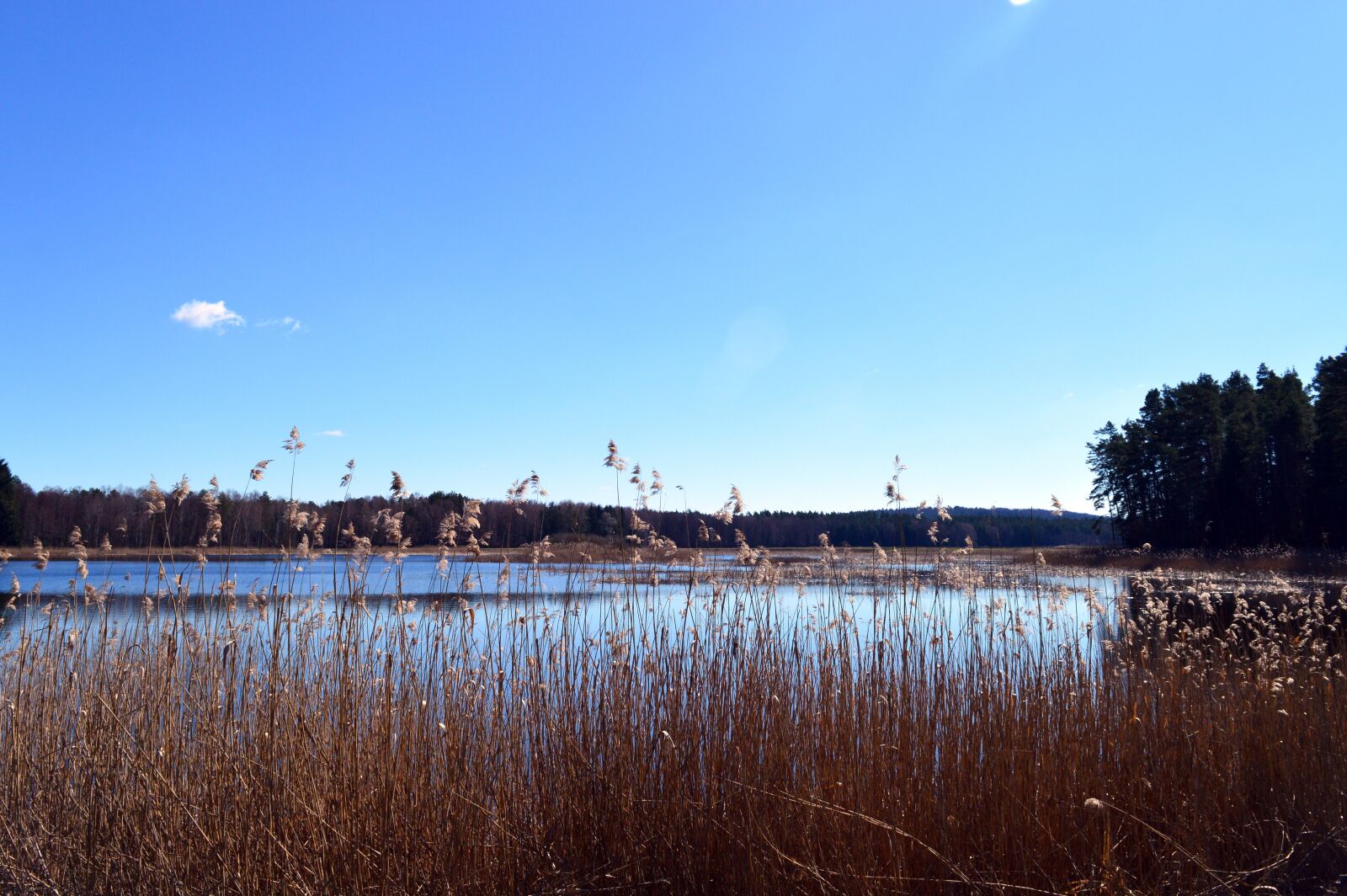 Nikon D3200 sample photo. View, water, lake photography