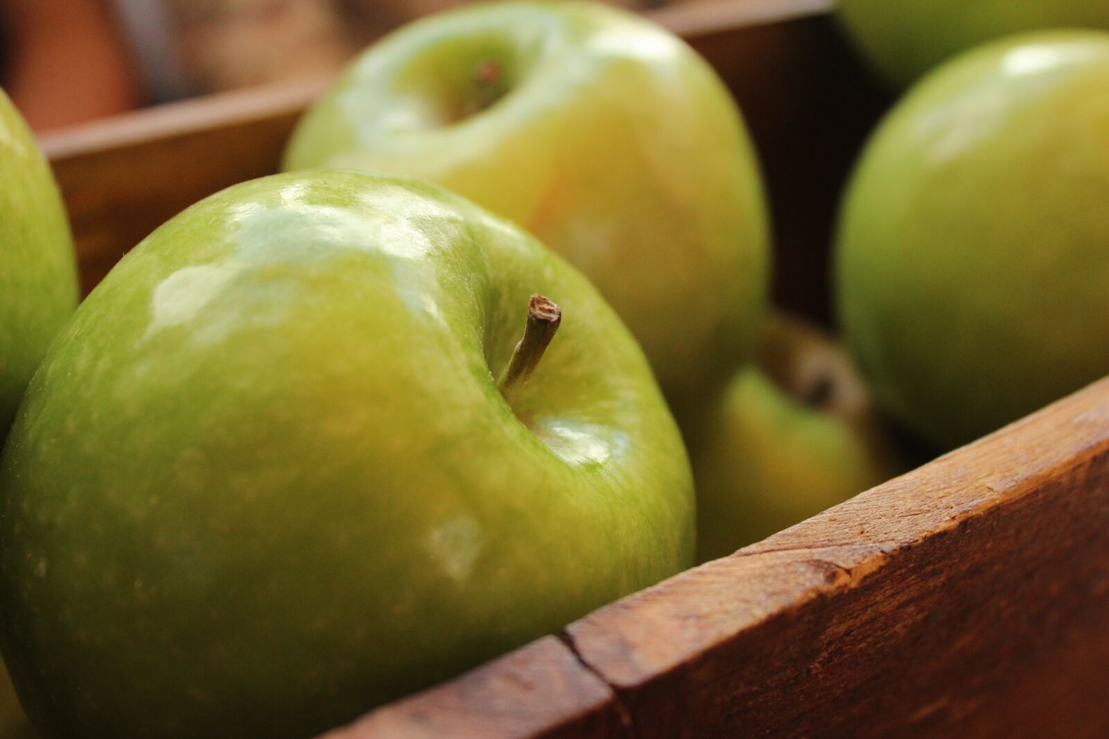Canon EOS 600D (Rebel EOS T3i / EOS Kiss X5) sample photo. Apples, close-up, food photography