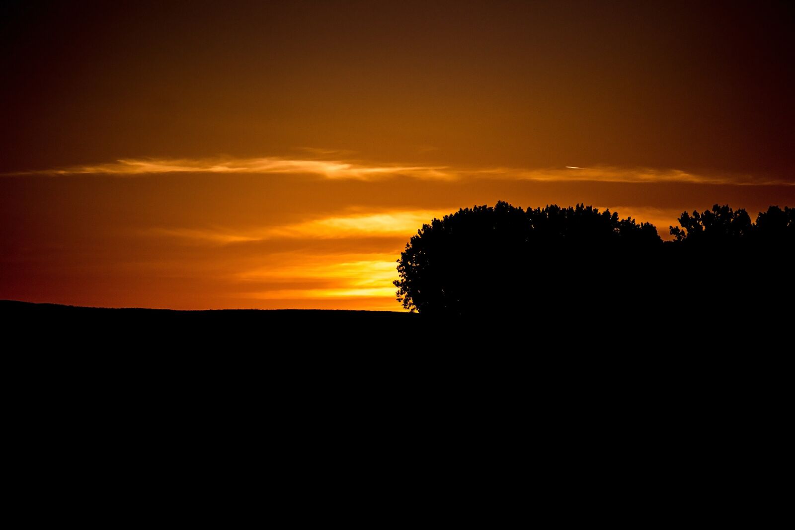Nikon D3100 sample photo. Sky, evening sky, sunset photography