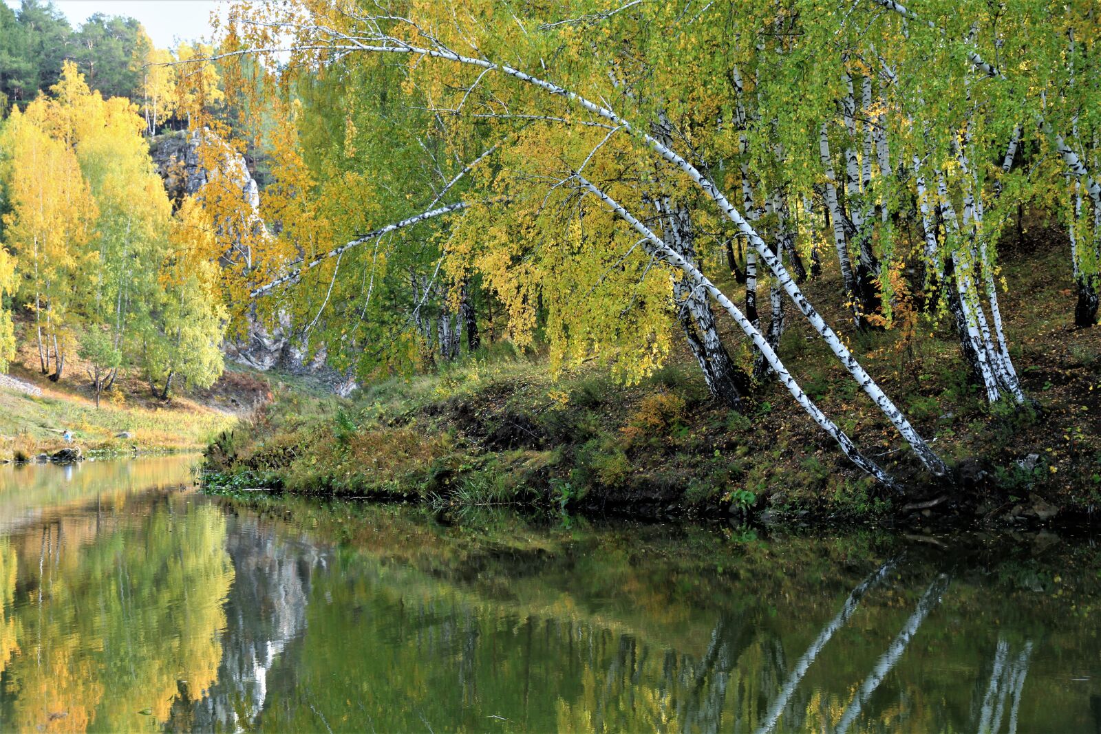 Canon EOS 500D (EOS Rebel T1i / EOS Kiss X3) sample photo. Forest, autumn, lake photography