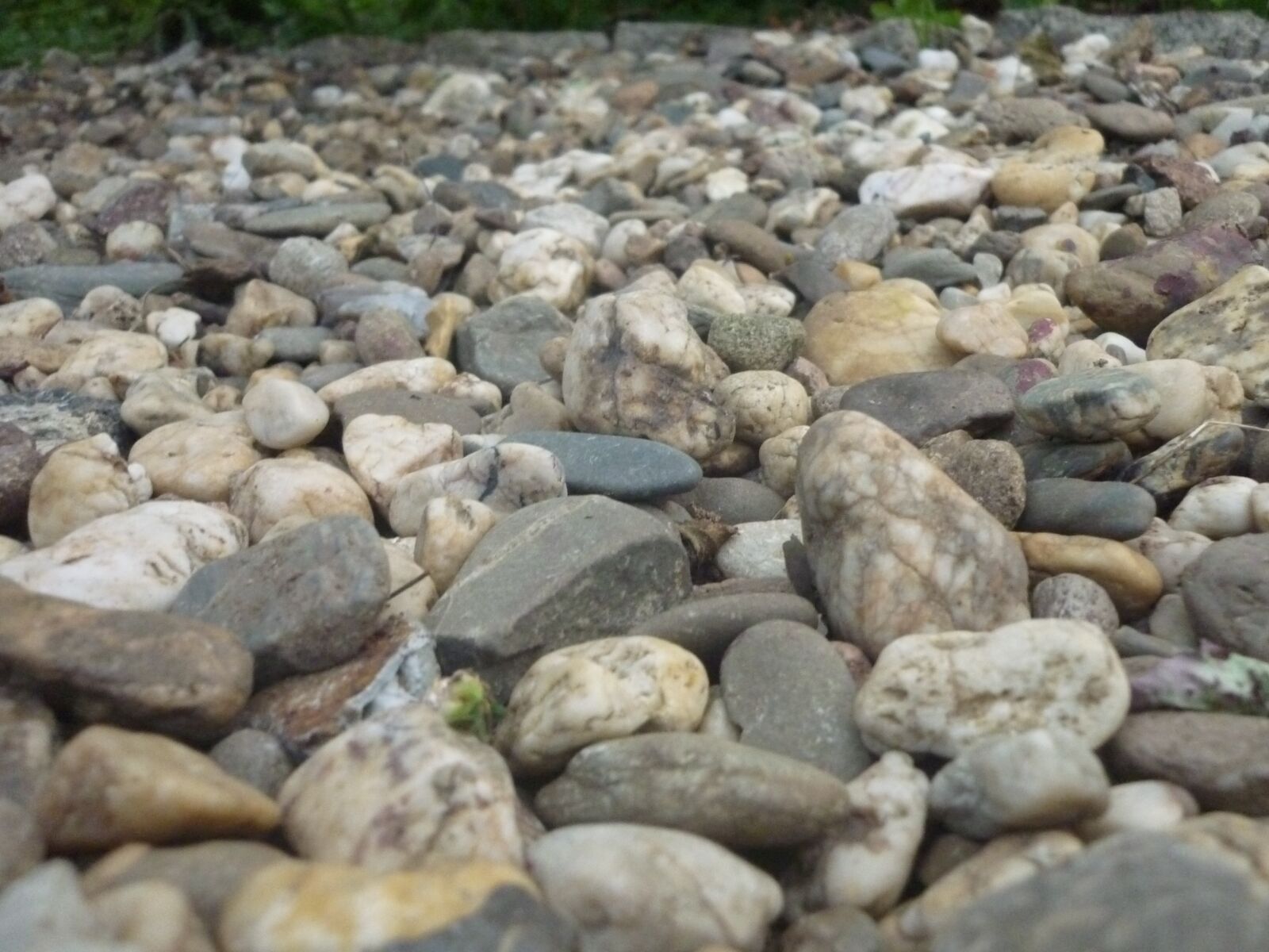 Panasonic Lumix DMC-FS6 sample photo. Stones, pebble photography