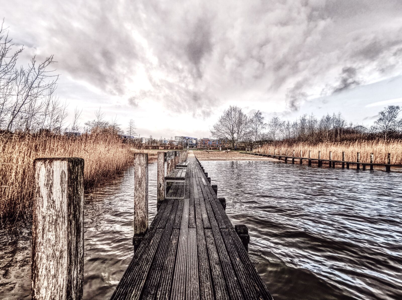 HUAWEI P30 Pro sample photo. Schleswig, king meadows, web photography
