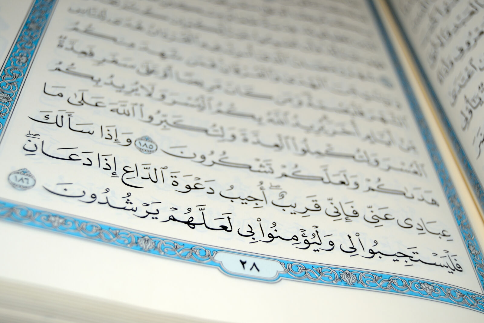 Nikon D3100 sample photo. Islam, quran photography